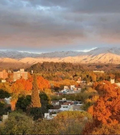 E6AC51C9-F463-4431-A8E1-E456A1459984