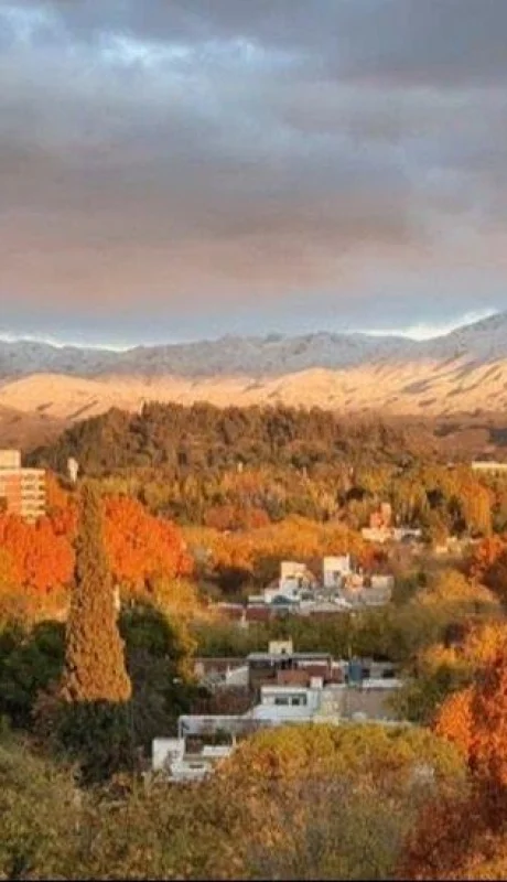 E6AC51C9-F463-4431-A8E1-E456A1459984