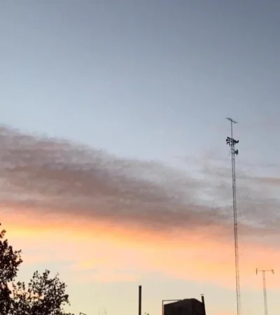 WhatsApp-Image-2021-06-07-at-08.31.42