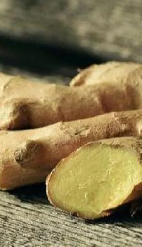 JENGIBRE-3_NEGRO-BLANCO-kn2G--620x349@abc