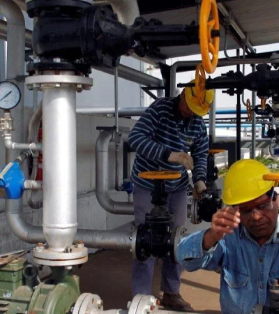 operarios-trabajan-una-fabrica-biocombustibles-san-nicolas-buenos-aires-argentina-foto-archivo-22-ago-2010-reutersenrique-marcarian