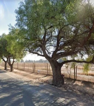 WhatsApp-Image-2021-07-21-at-14.08.53