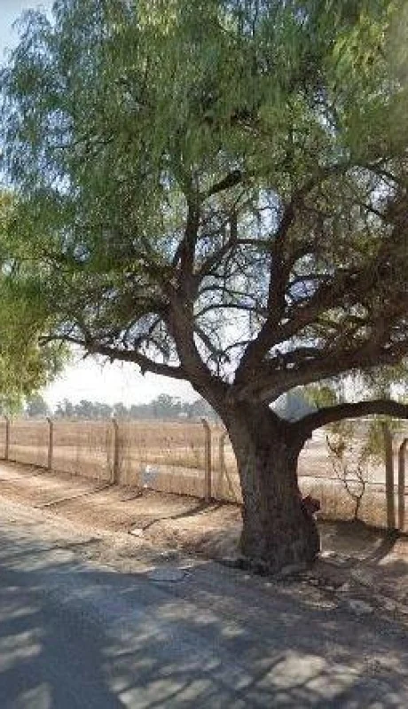 WhatsApp-Image-2021-07-21-at-14.08.53