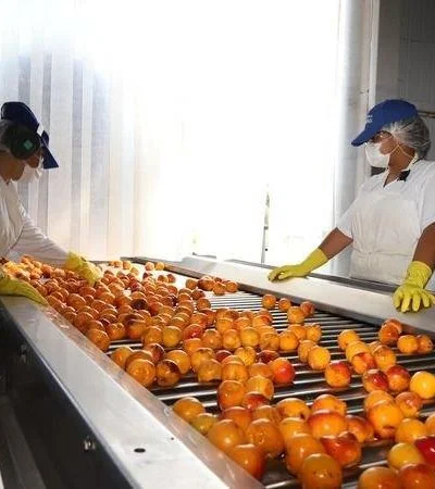 WhatsApp-Image-2021-07-20-at-12.53.17-(1)