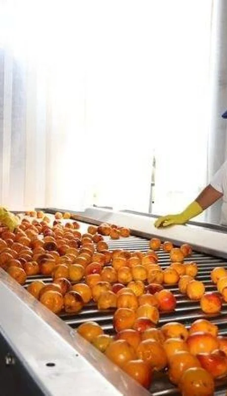 WhatsApp-Image-2021-07-20-at-12.53.17-(1)