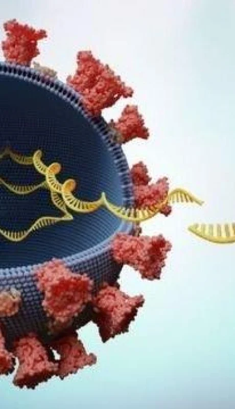 variante-delta-argentina-contagios-hoy