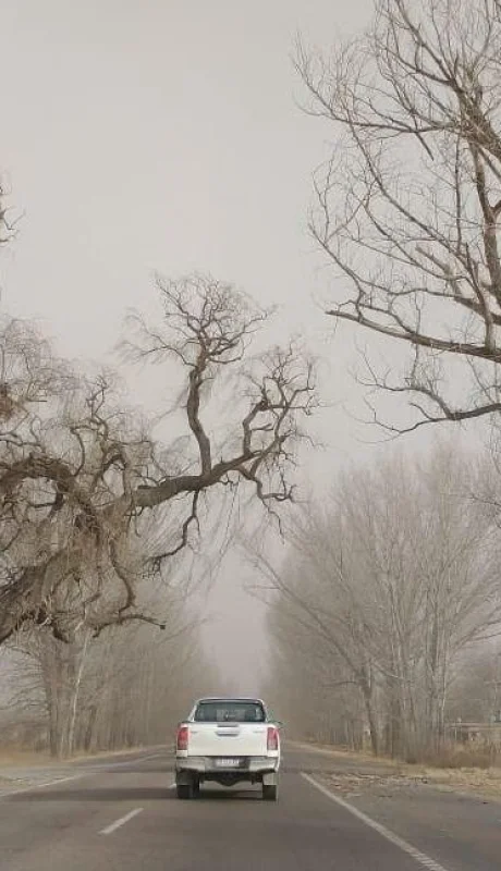 WhatsApp-Image-2021-07-16-at-17.01.01