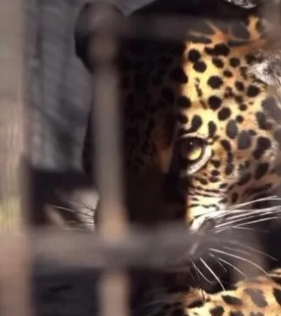 WhatsApp-Image-2021-07-10-at-16.11.56