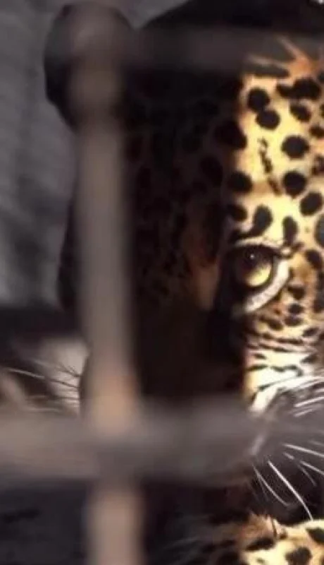 WhatsApp-Image-2021-07-10-at-16.11.56