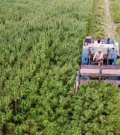 iStock-1278641594-2-700x394