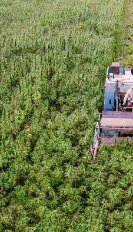 iStock-1278641594-2-700x394