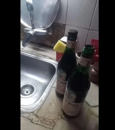 fernet-branca-trucho-comercio-mendoza-maipú-fotos