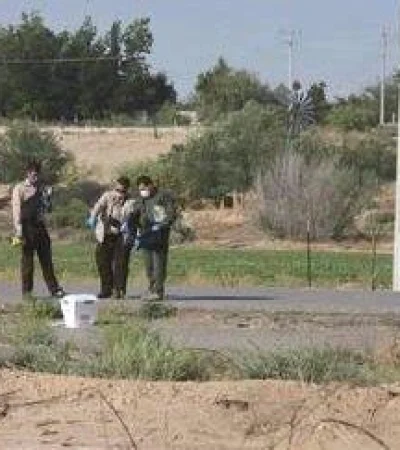 E20A5D7B-B30B-4694-991C-15BDC8C7D805