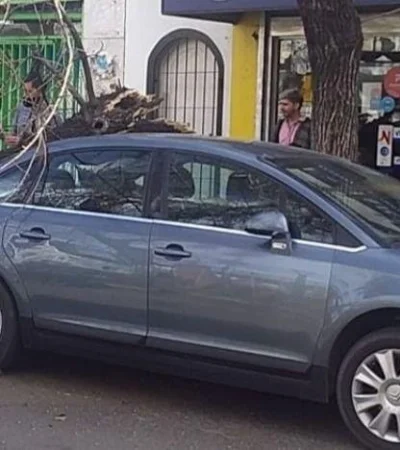 Efectos del Zonda: pronóstico tras los árboles caídos, cables cortados y vuelos cancelados