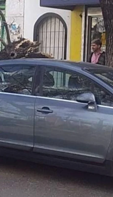 Efectos del Zonda: pronóstico tras los árboles caídos, cables cortados y vuelos cancelados