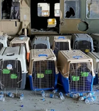 31-08-2021_bfaf8c9dab8856852b3fb68fb833359c