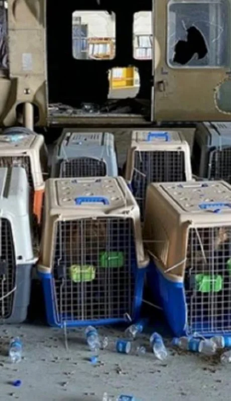 31-08-2021_bfaf8c9dab8856852b3fb68fb833359c