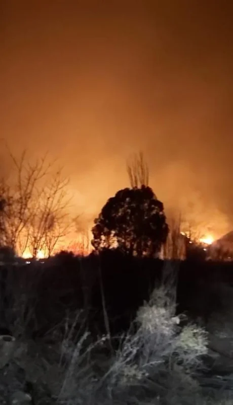 WhatsApp-Image-2021-08-16-at-23.38.33-(2)