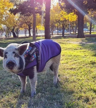 190465937_141831211269321_3819199316260020599_n