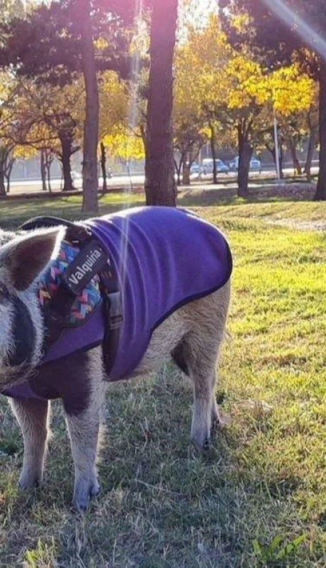 190465937_141831211269321_3819199316260020599_n