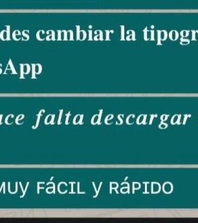 WhatsApp-Image-2021-08-13-at-11.10.46