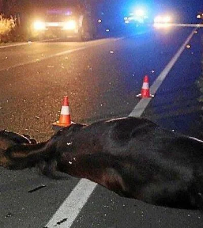 E79BB599-D469-434A-8F31-774A84436EA5