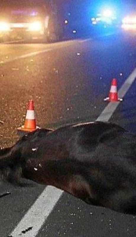 E79BB599-D469-434A-8F31-774A84436EA5