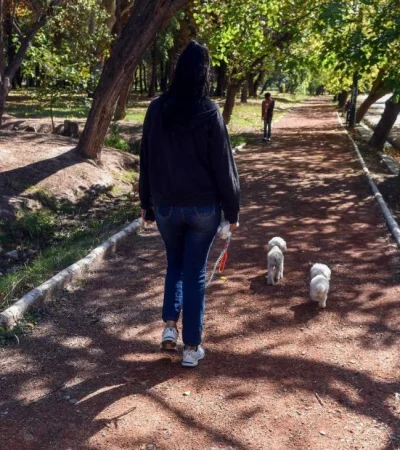 mendoza-el-intendente-de_667828