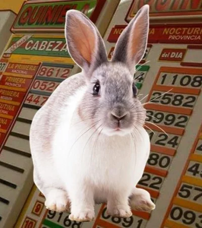 conejo-quiniela-suerte-número-sueño-signficado-datos
