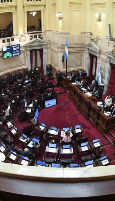 senado