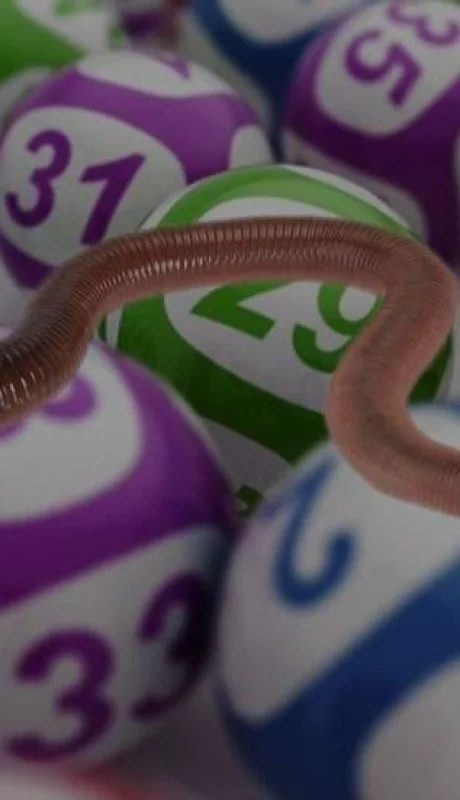 lombriz-quiniela-suerte-número-tabla-gusano