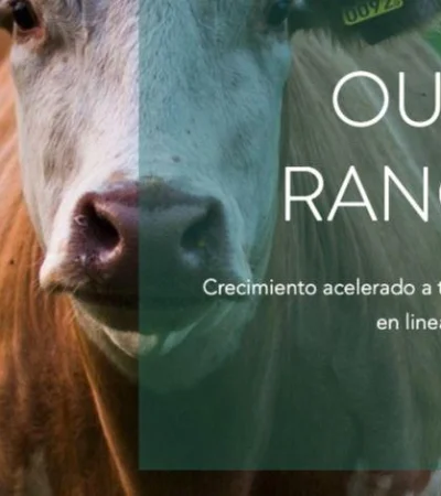 Captura-de-Pantalla-2021-09-21-a-la(s)-23.58.11-(2)