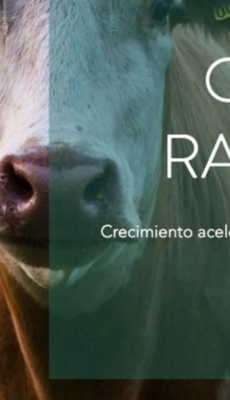 Captura-de-Pantalla-2021-09-21-a-la(s)-23.58.11-(2)