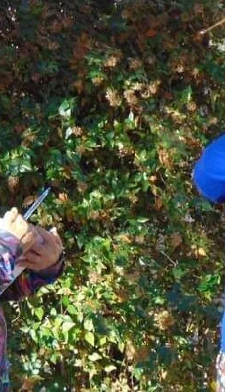 vacunacio?n-coronavirus-san-rafael-1