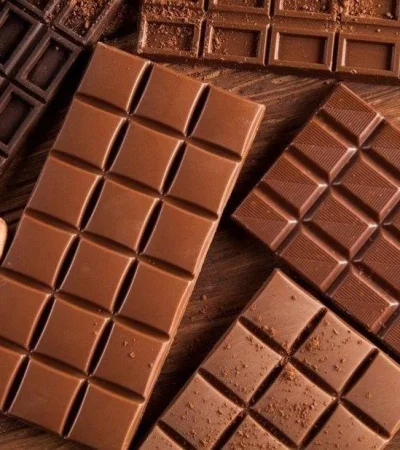 chocolate-dia-internacional