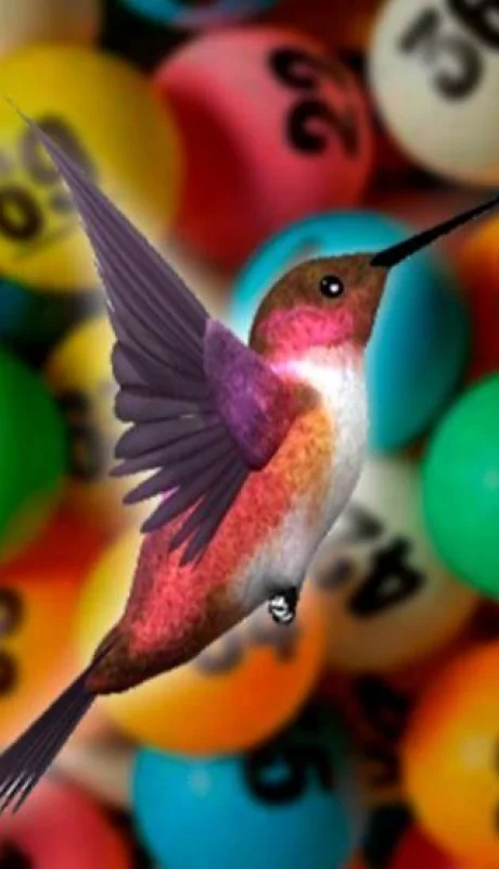 pájaro-quiniela-número-suerte-tabla-ave-animal