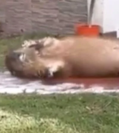 WhatsApp-Image-2021-09-30-at-17.04.26