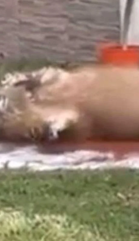 WhatsApp-Image-2021-09-30-at-17.04.26