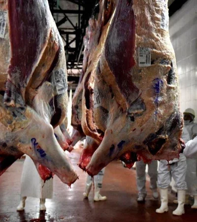 WhatsApp-Image-2021-09-01-at-18.08.43