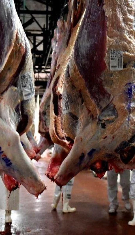 WhatsApp-Image-2021-09-01-at-18.08.43