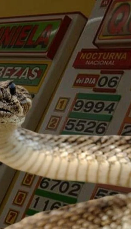 Sueños con serpientes: ¿qué significan y su número en la quiniela?