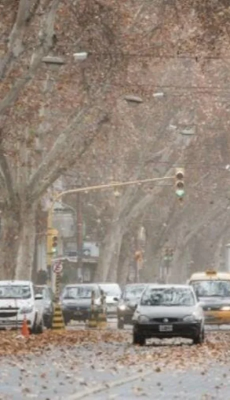 6119c730ea68f_905_510!