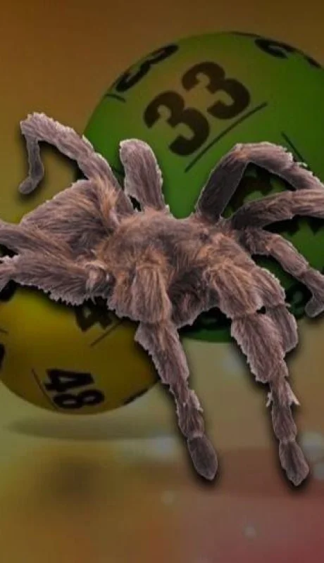 quiniela-sueño-araña-insectos-número-suerte-tabla