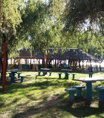 15391520_10210479760606410_6689823101546949316_o