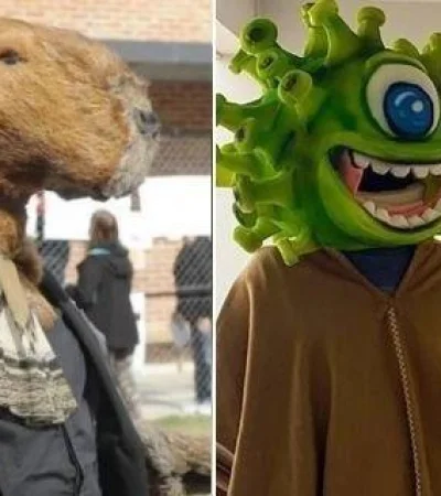 f608x342-675007_704730_0