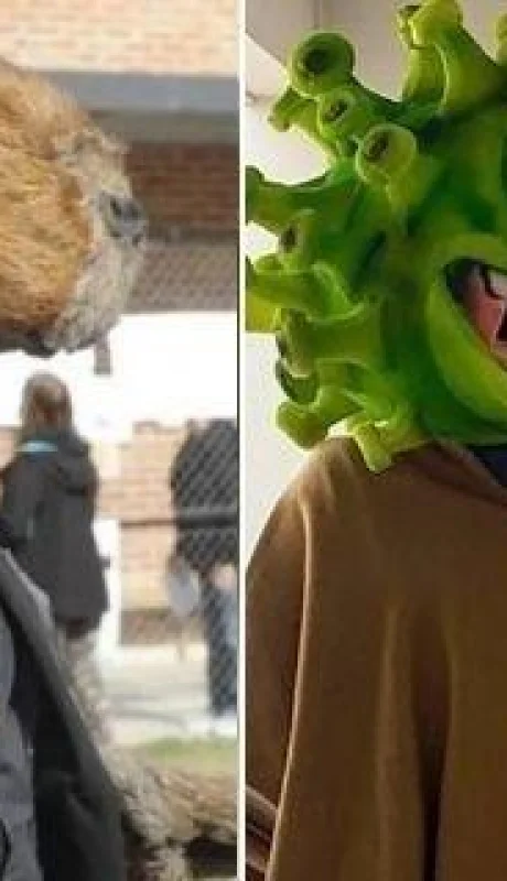 f608x342-675007_704730_0