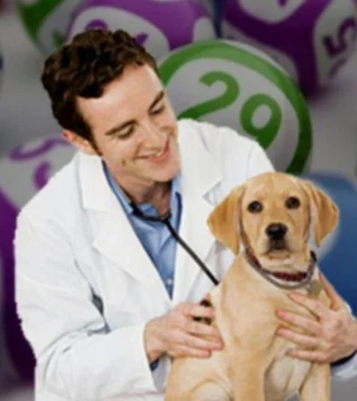 quiniela-veterinario-suerte-tabla-número-
