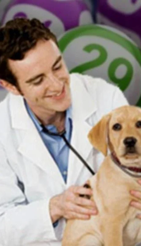 quiniela-veterinario-suerte-tabla-número-