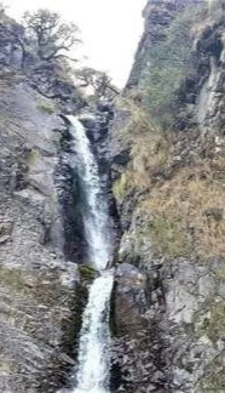 cascada-horqueta-21jpg