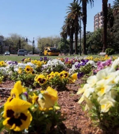 505b3dc3344ca_896_607!